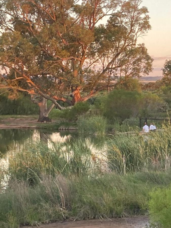Still Earth Port Pirie Eksteriør bilde