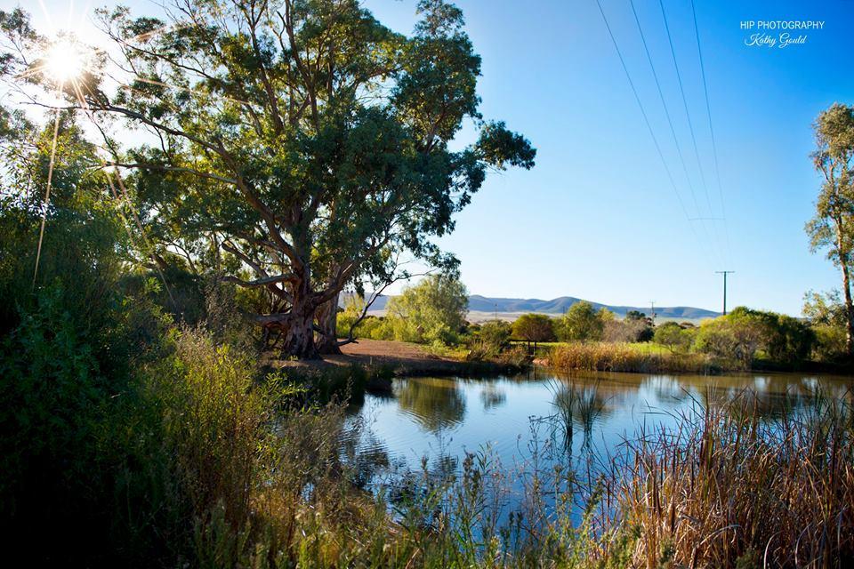 Still Earth Port Pirie Eksteriør bilde